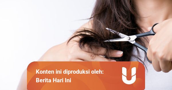 41+ Arti Mimpi Seseorang Potong Rambut !! - My Blog - My Best Blog